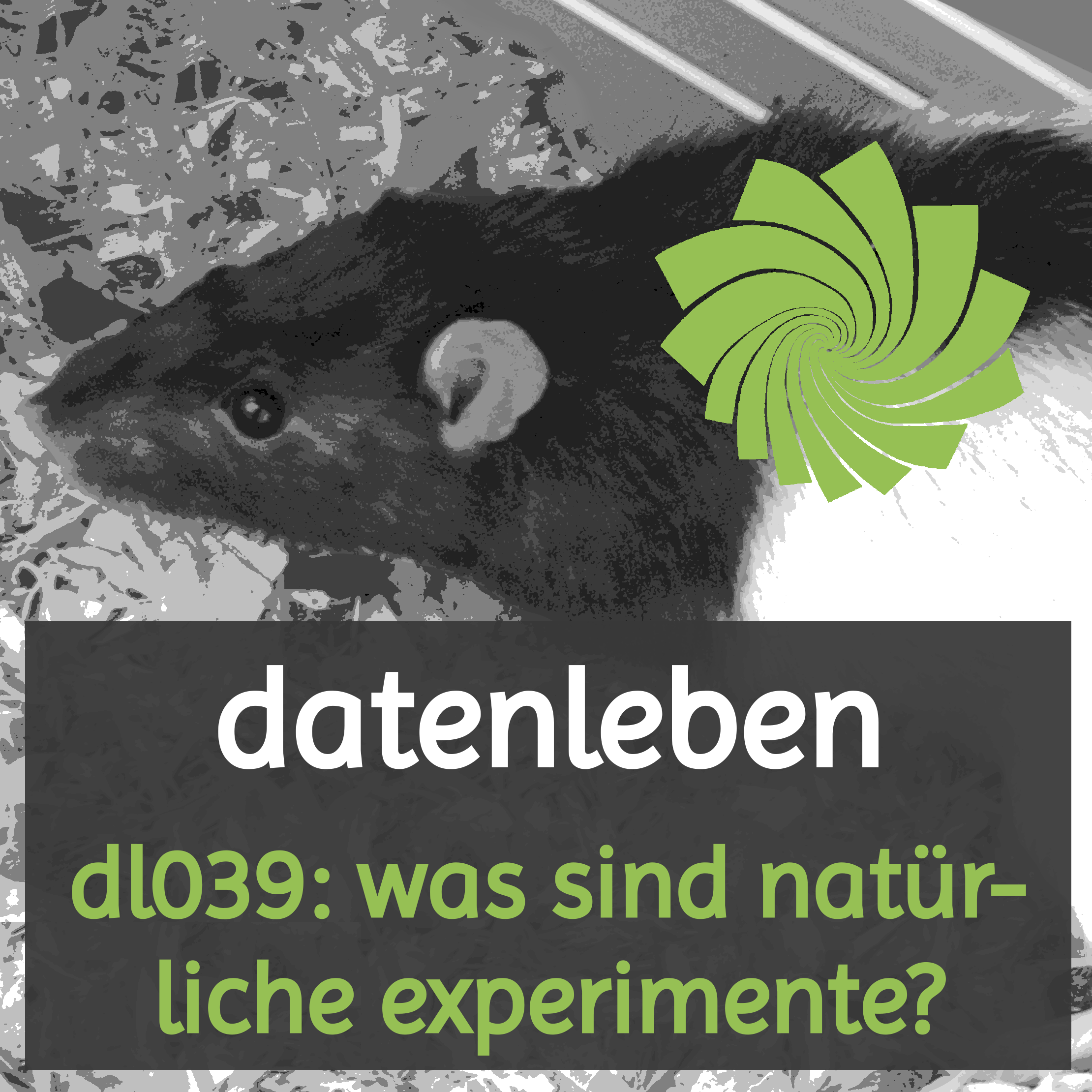 datenleben